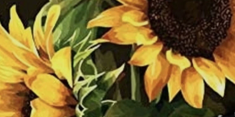 creator header picture