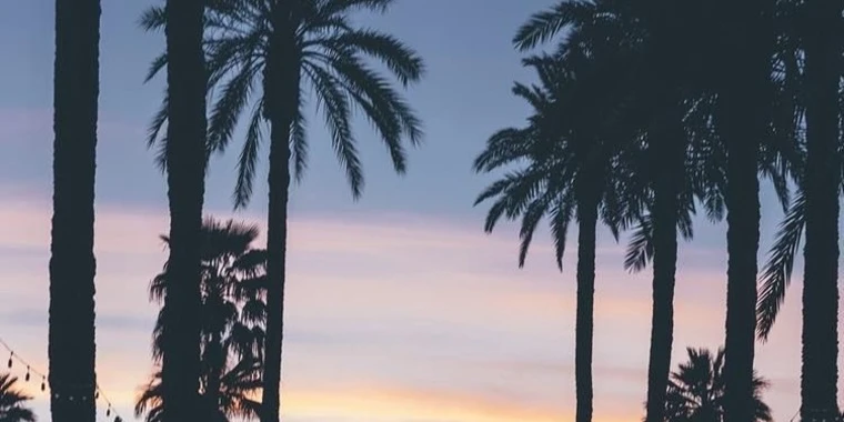 creator header picture