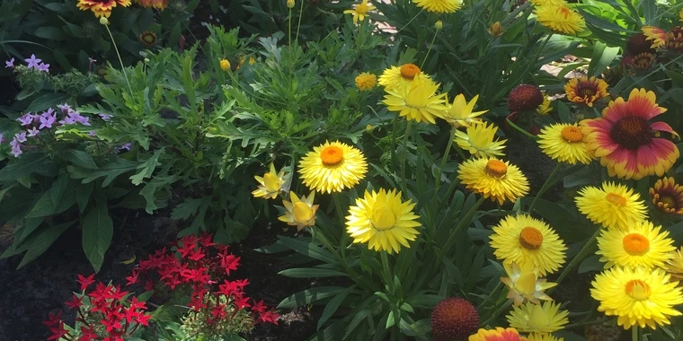 creator header picture