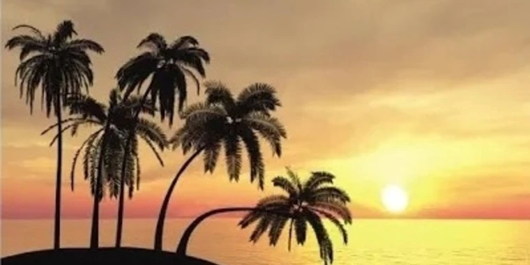creator header picture