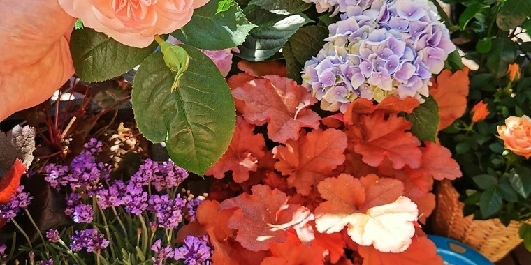 creator header picture