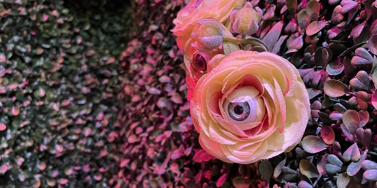 creator header picture