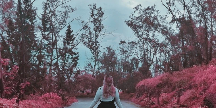 creator header picture