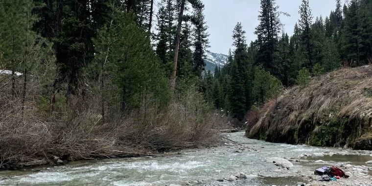 creator header picture