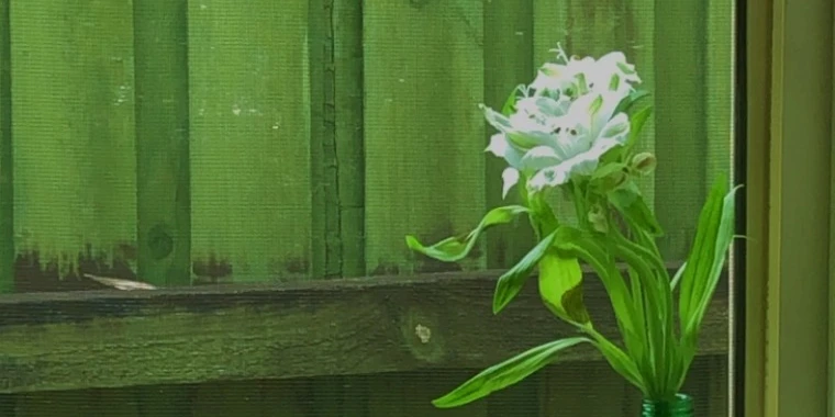 creator header picture