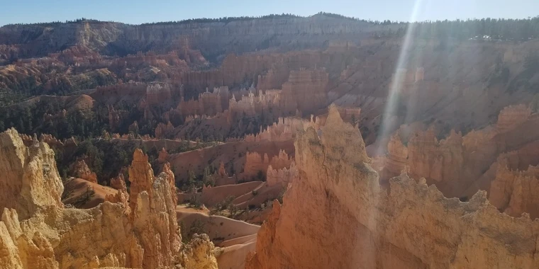 creator header picture