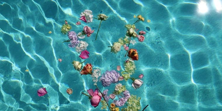 creator header picture
