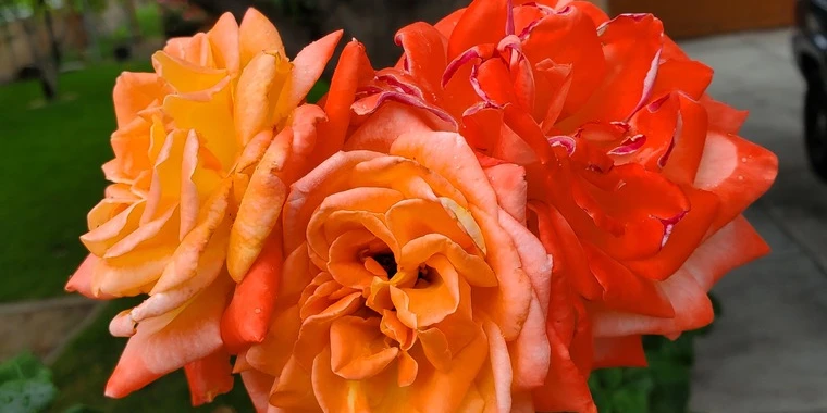 creator header picture