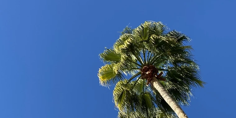 creator header picture