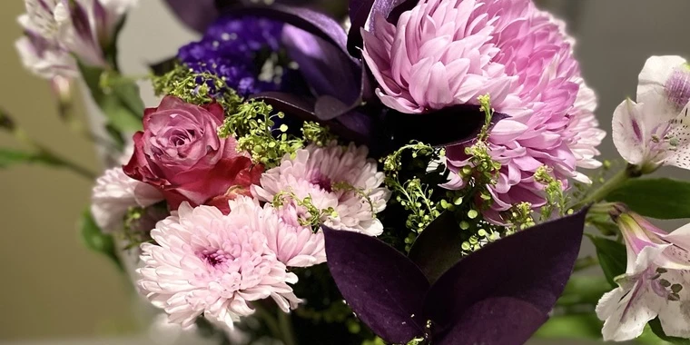 creator header picture