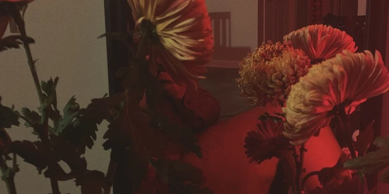 creator header picture
