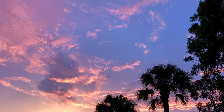 creator header picture