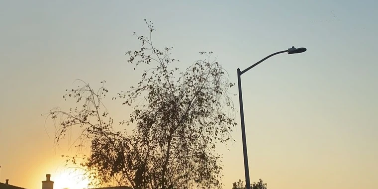 creator header picture