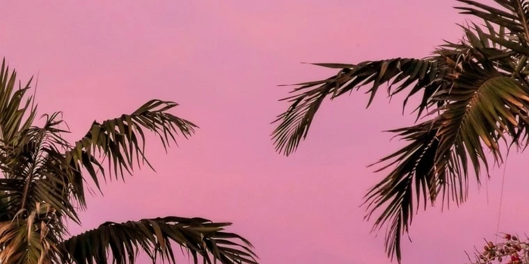 creator header picture