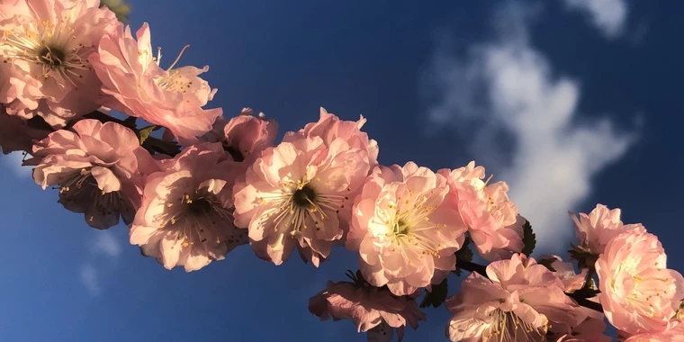 creator header picture