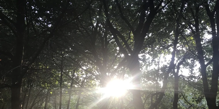 creator header picture