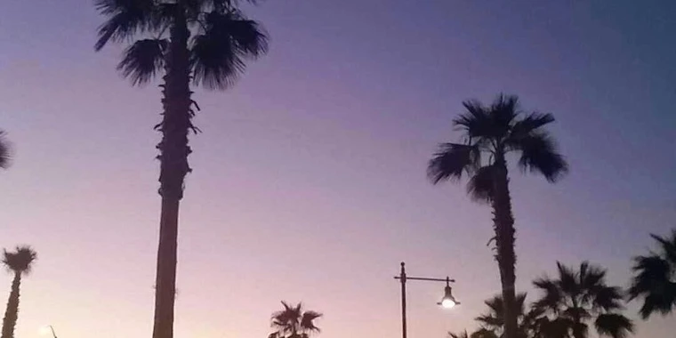 creator header picture