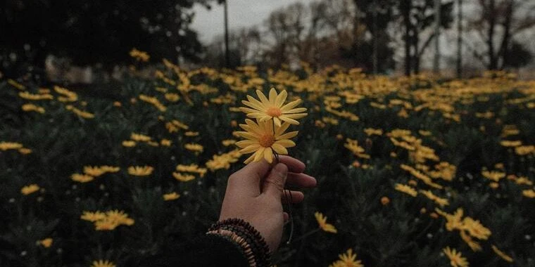 creator header picture