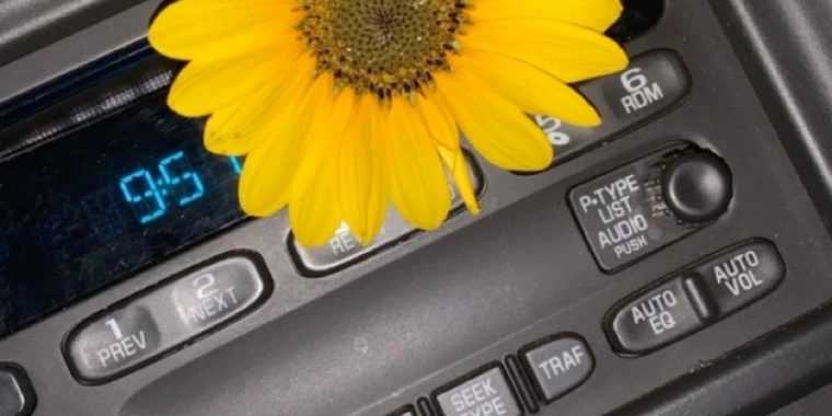 creator header picture