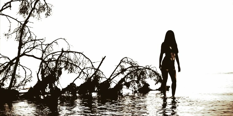 creator header picture
