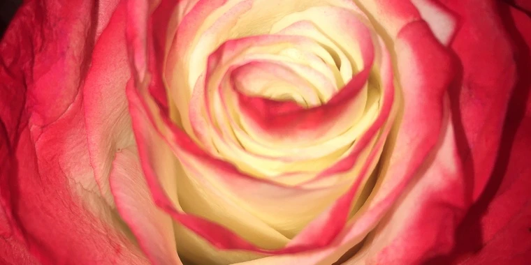 creator header picture