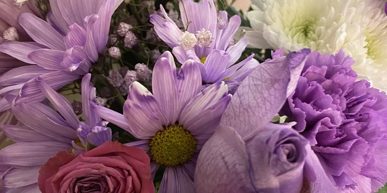 creator header picture