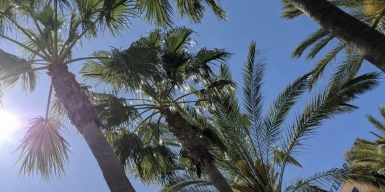 creator header picture