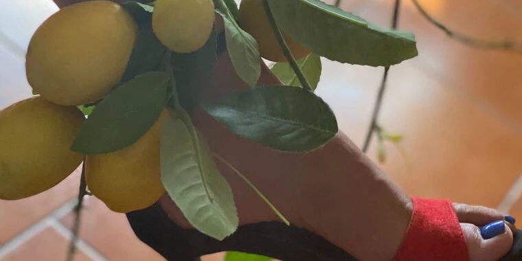creator header picture
