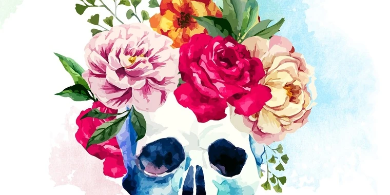 creator header picture