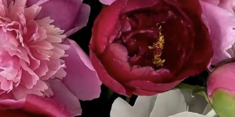 creator header picture
