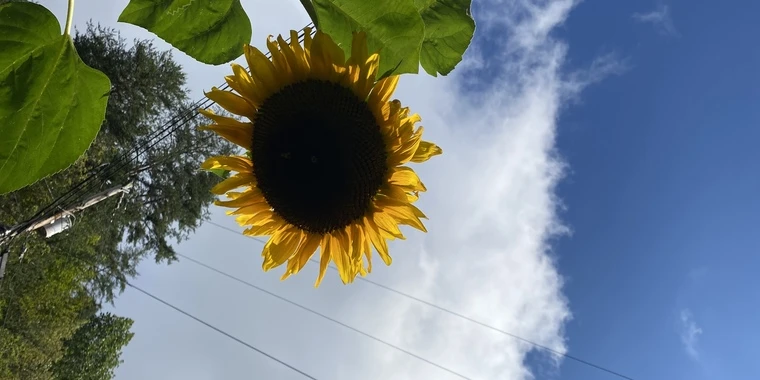 creator header picture