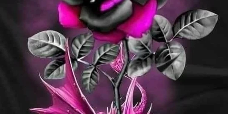 creator header picture