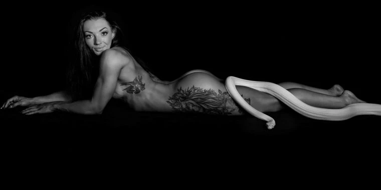 creator header picture