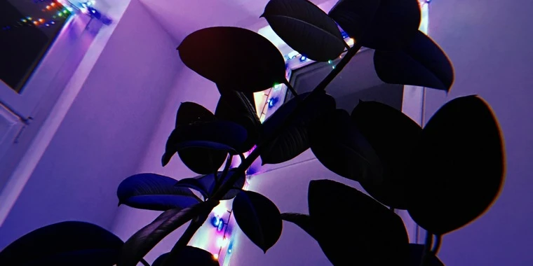 creator header picture