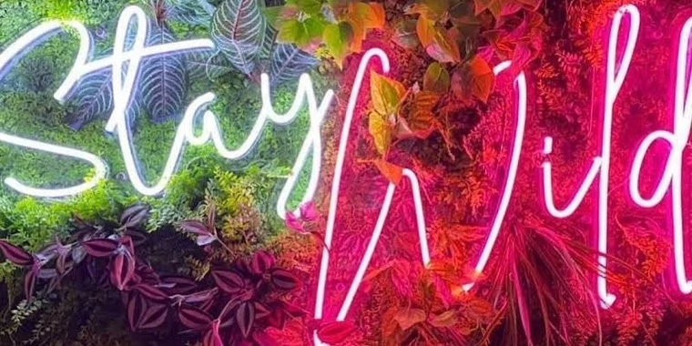 creator header picture