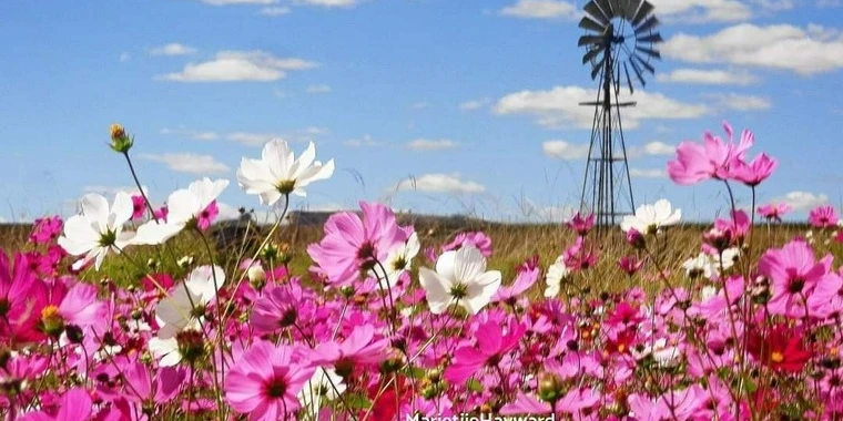 creator header picture