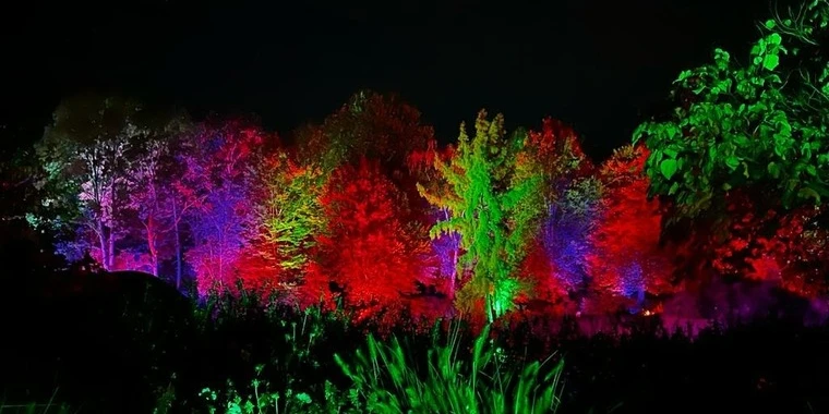 creator header picture