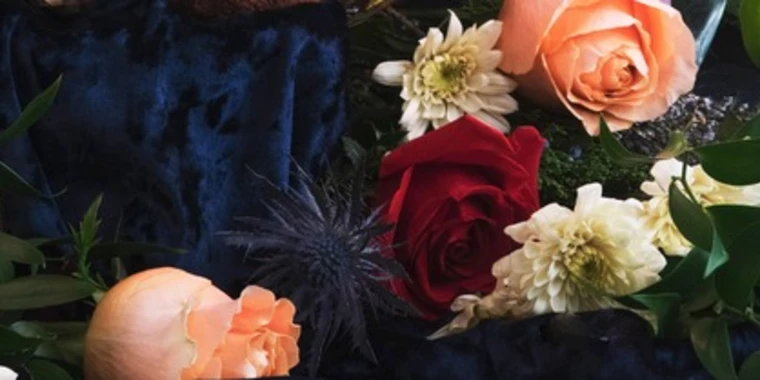 creator header picture