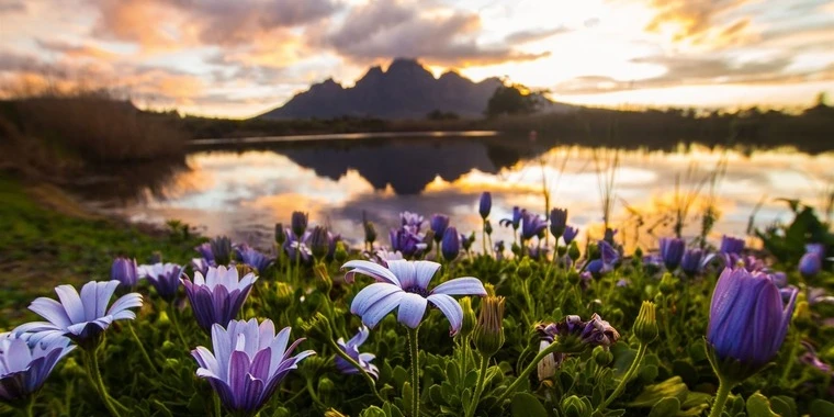 creator header picture