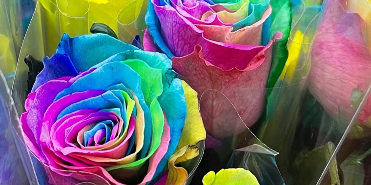 creator header picture