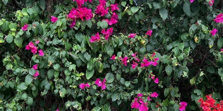 creator header picture