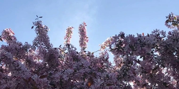 creator header picture
