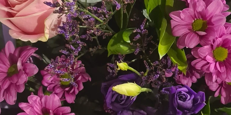 creator header picture