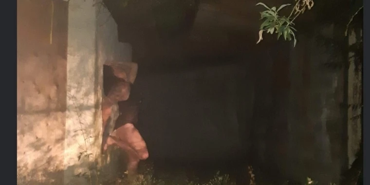 creator header picture