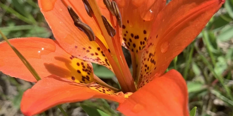 creator header picture
