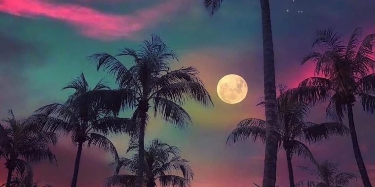 creator header picture
