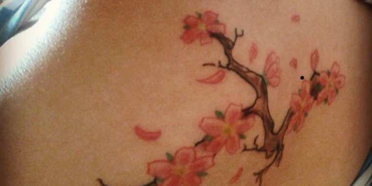 creator header picture