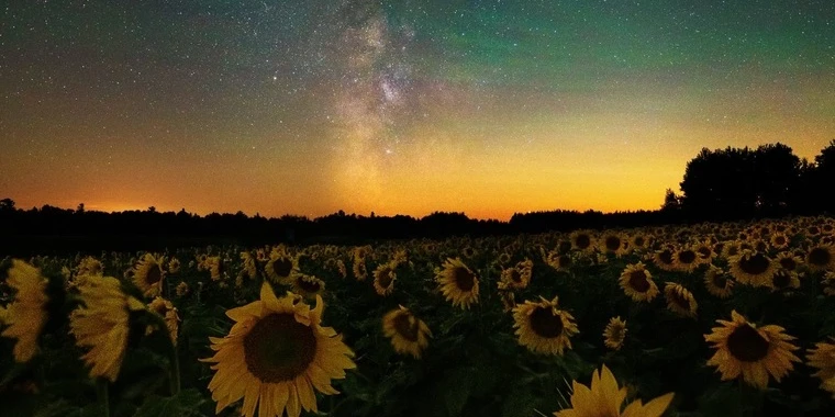 creator header picture