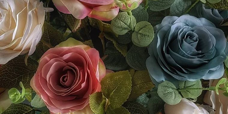 creator header picture