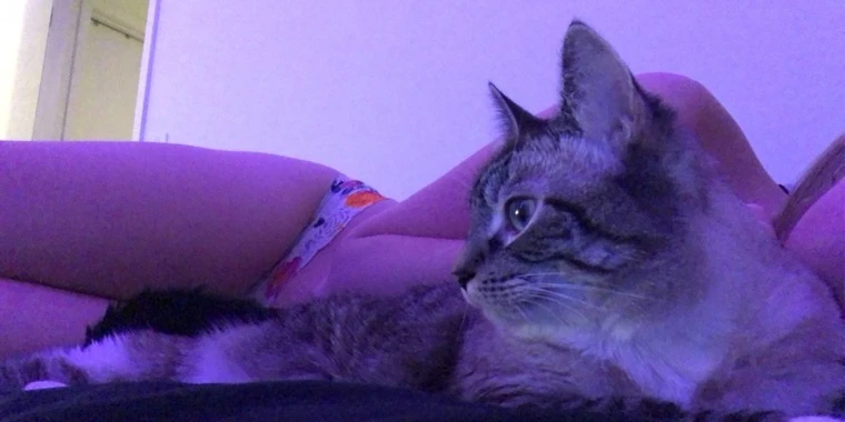 creator header picture